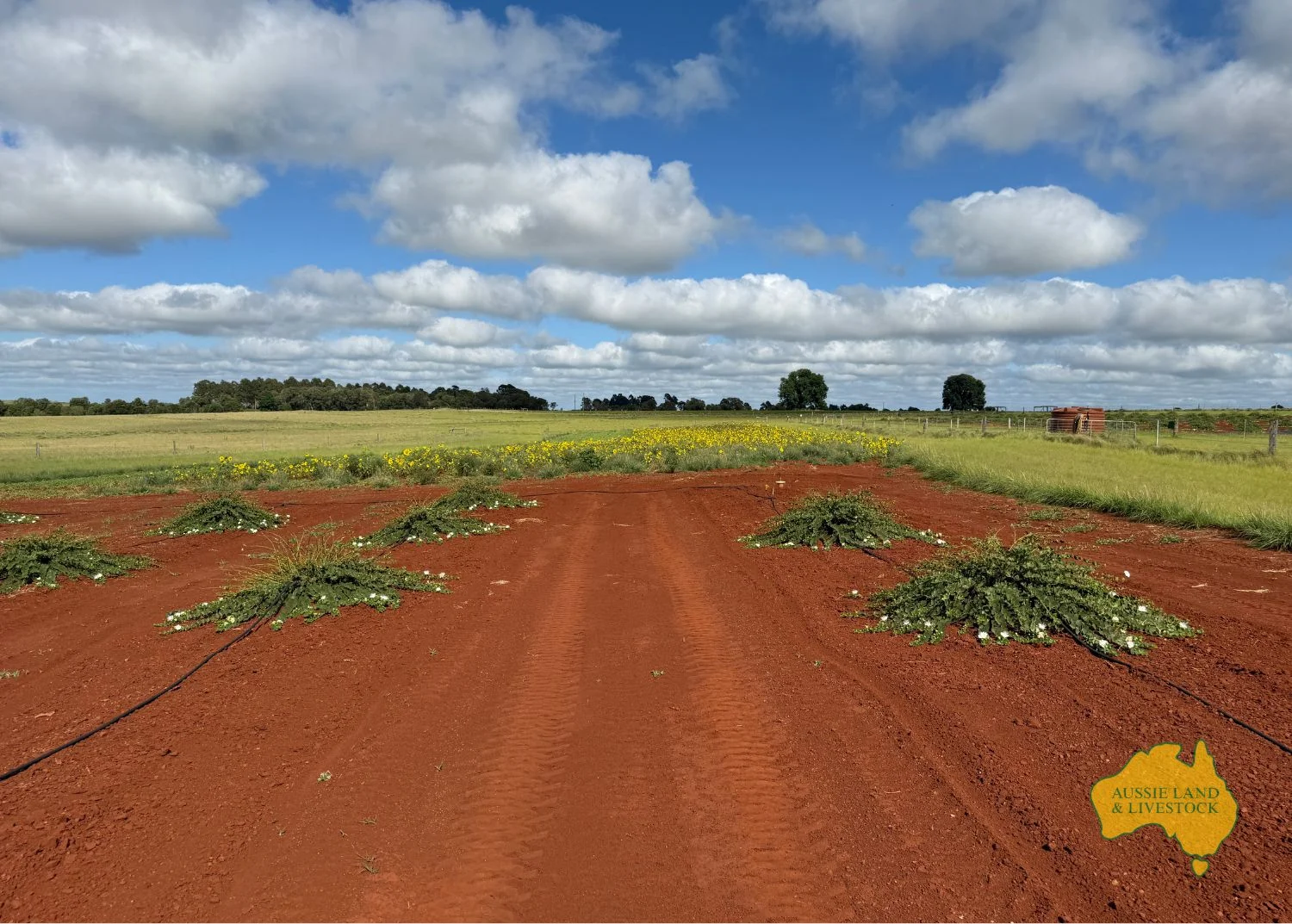 Additional image 27 of 544 WATTLEGROVE ROAD, Benair QLD 4610