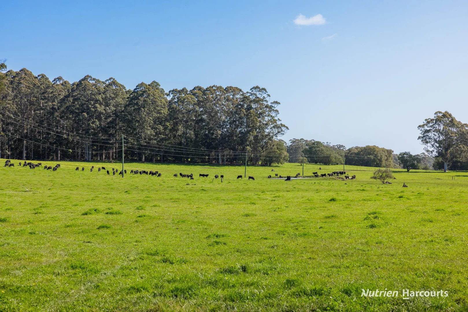 Additional image 22 of 1545 Muirillup Road, Boorara Brook WA 6262