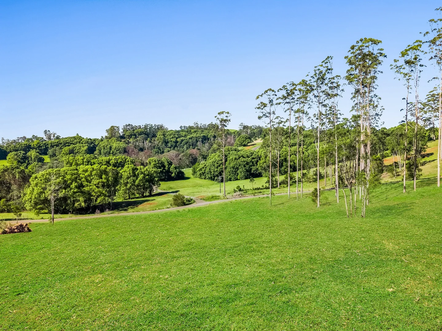 Additional image 16 of 315 Coorabell Road, Coorabell NSW 2479