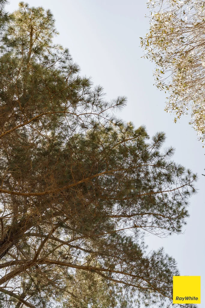 Additional image 18 of 317 Macs Reef Road, Bywong NSW 2621