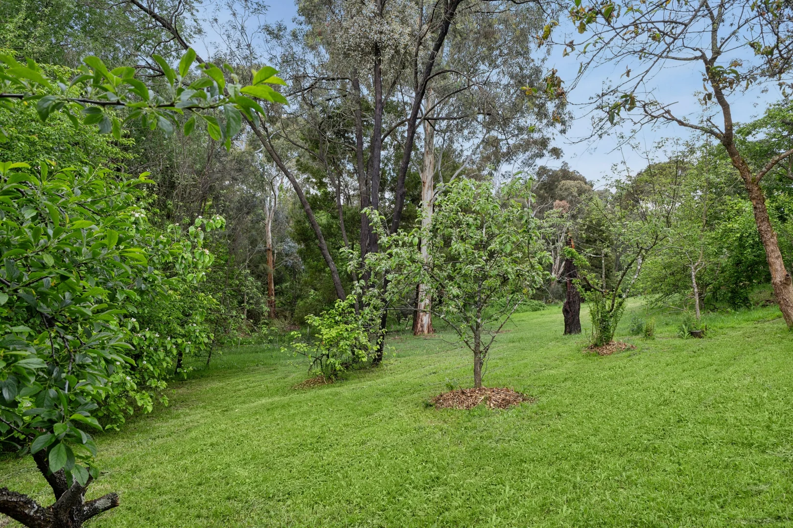 Additional image 5 of 157 Main Road, Hepburn VIC 3461