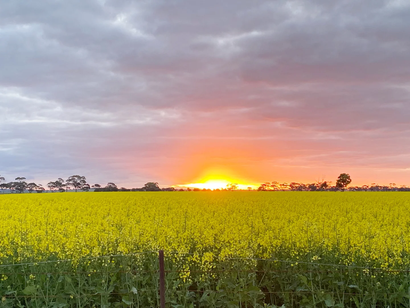 Additional image 2 of 405 Linfern Road, Buckingham Via, Mundulla SA 5270