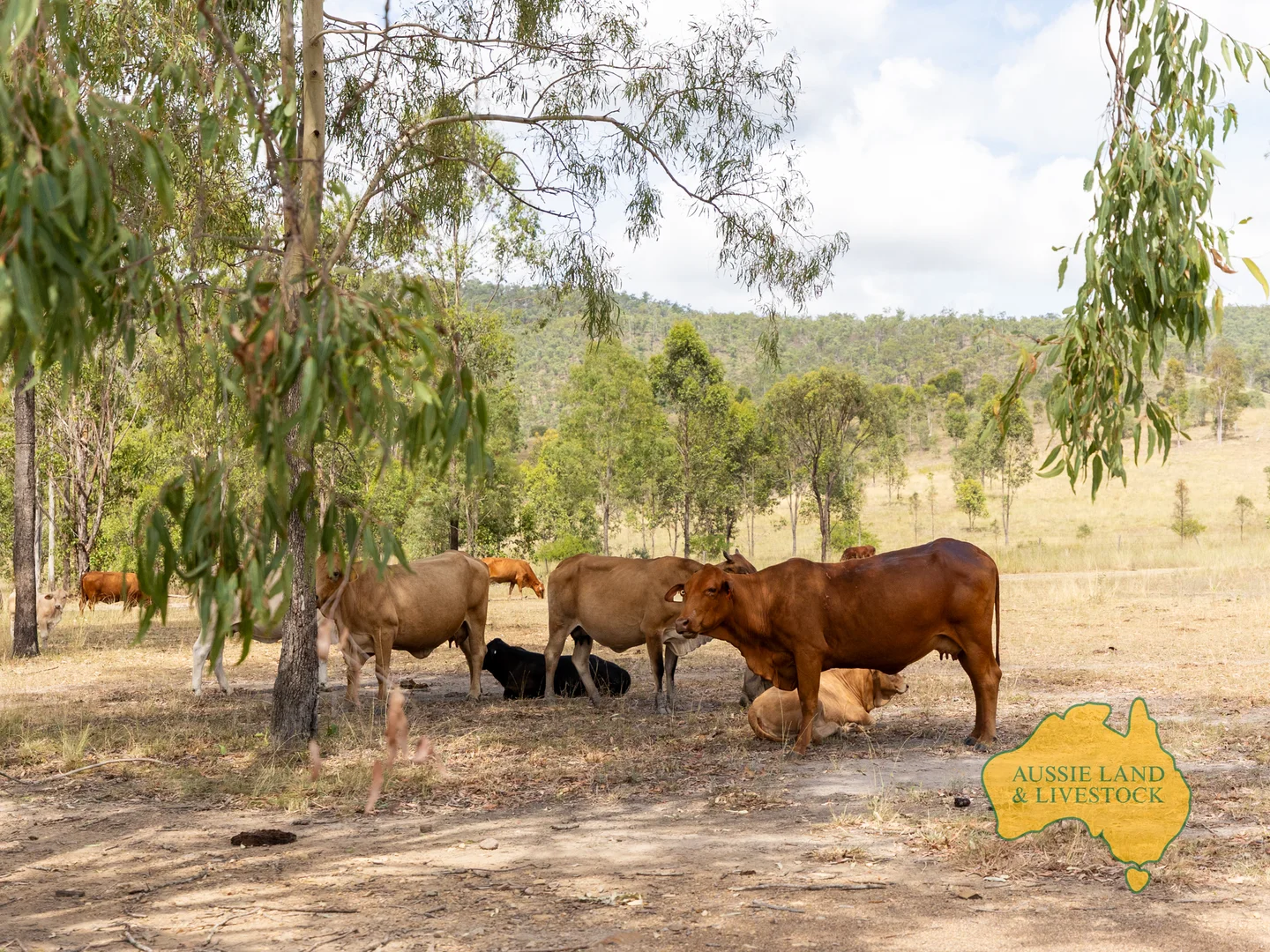 Additional image 20 of 43 & 50, . Kalliwa Road, Mingo QLD 4625