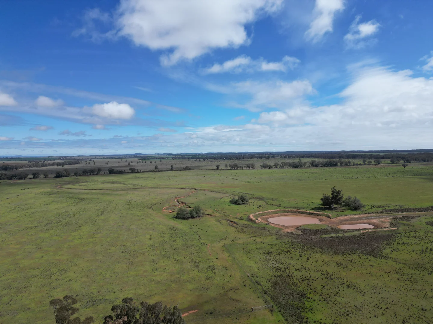 Additional image 5 of ' Dalmallee' 735 Charcoal Tank Road, West Wyalong NSW 2671