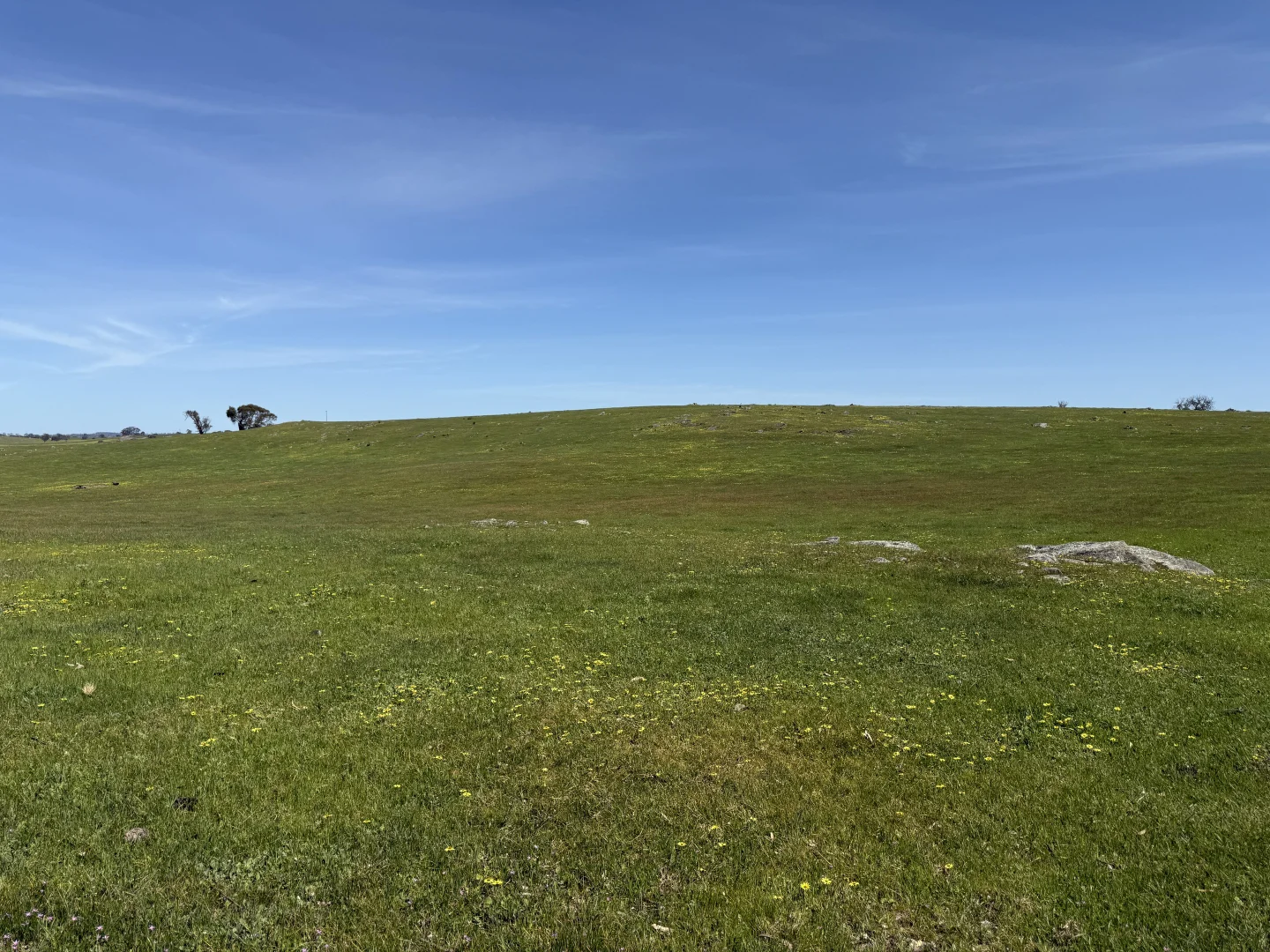 Additional image 7 of Lot 115 Mcgormans Road, Tungkillo SA 5236