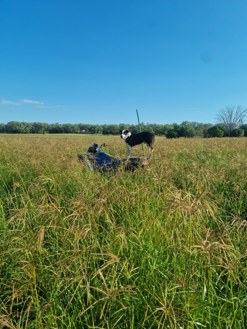 Additional image 31 of 'Ashby' 48 Felton View Road, Ellangowan QLD 4361