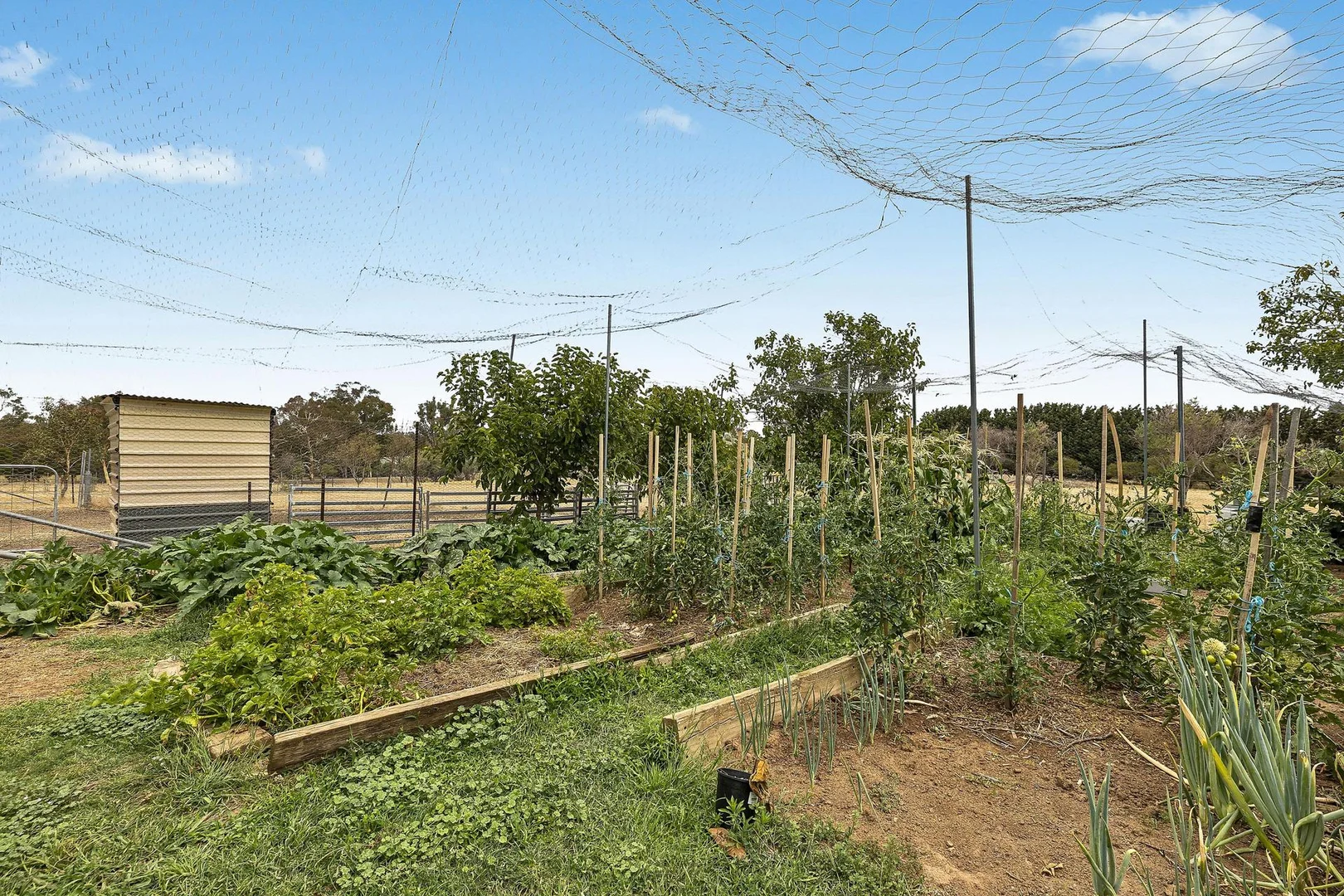 Additional image 24 of 2 Grevillea Close, Murrumbateman NSW 2582