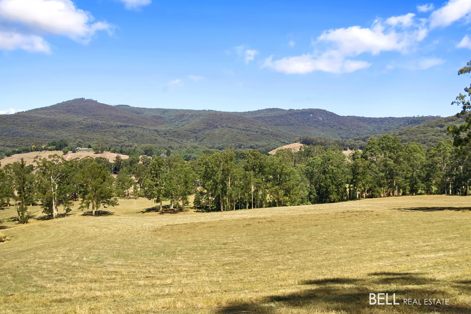 Additional image 3 of 1115 Little Yarra Road, Three Bridges VIC 3797