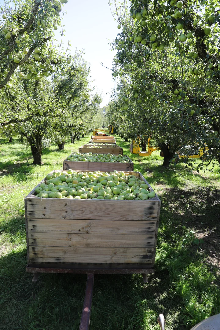 Additional image 11 of Orrvale VIC 3631