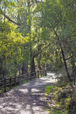 Additional image 8 of 5 Jacaranda Crescent, Moe VIC 3825