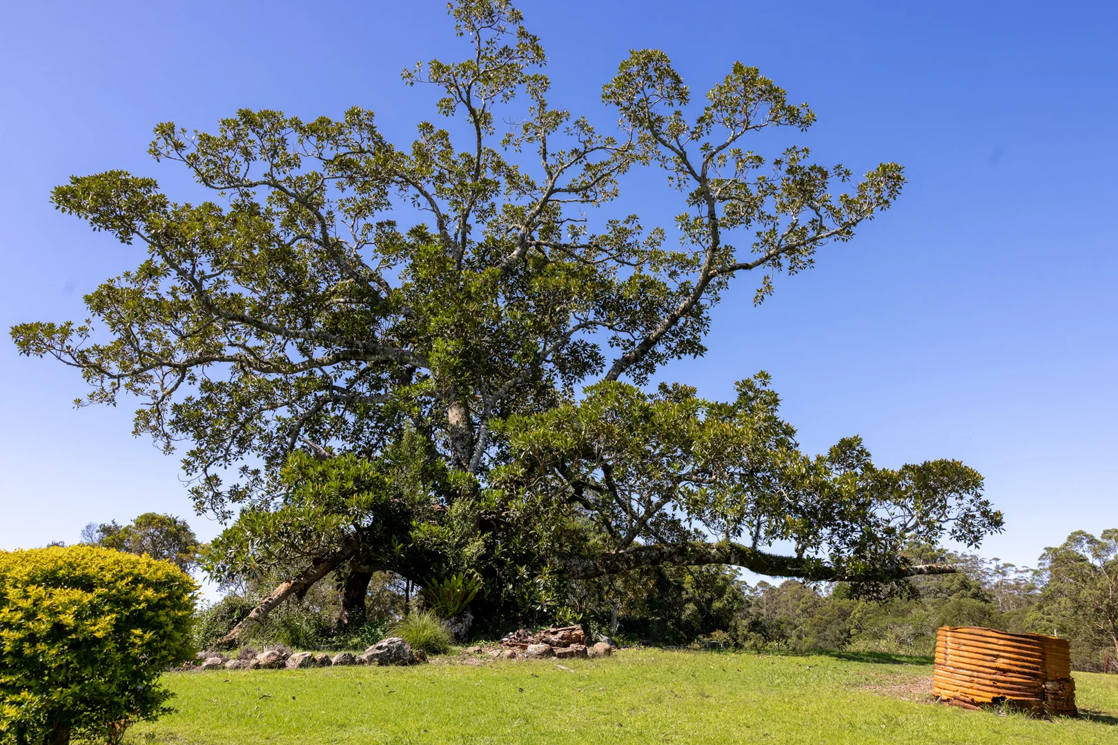 Additional image 14 of 196 Tilbaroo Road, Elands NSW 2429