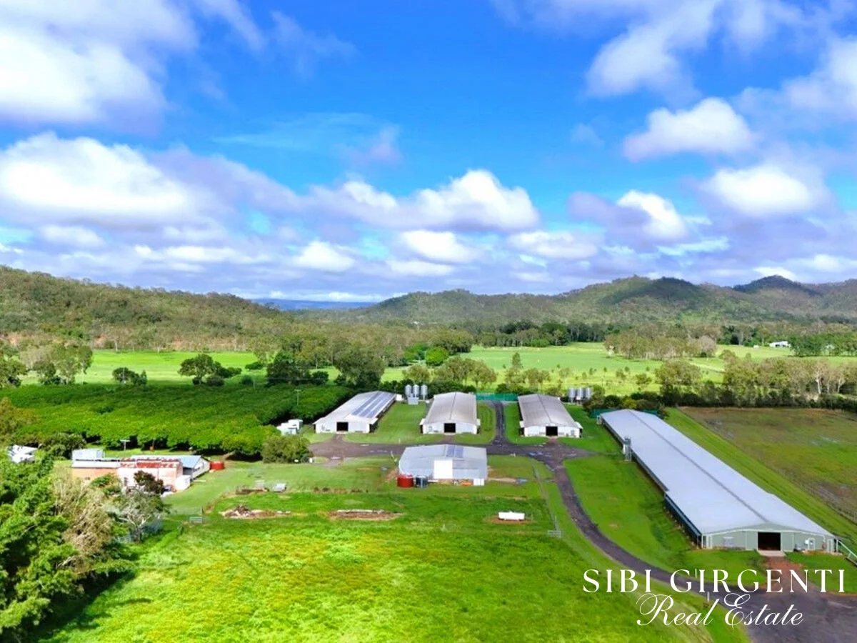 Additional image 21 of 1004 Bilwon Road, Biboohra QLD 4880
