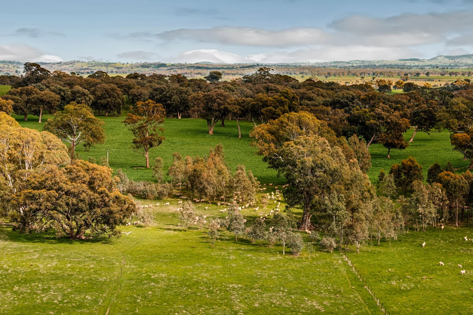 Additional image 17 of 870 Valley Road, Glenhope VIC 3444