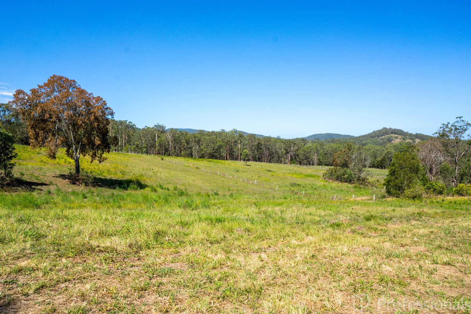 Additional image 11 of 499 Avalon Road, Dyers Crossing NSW 2429