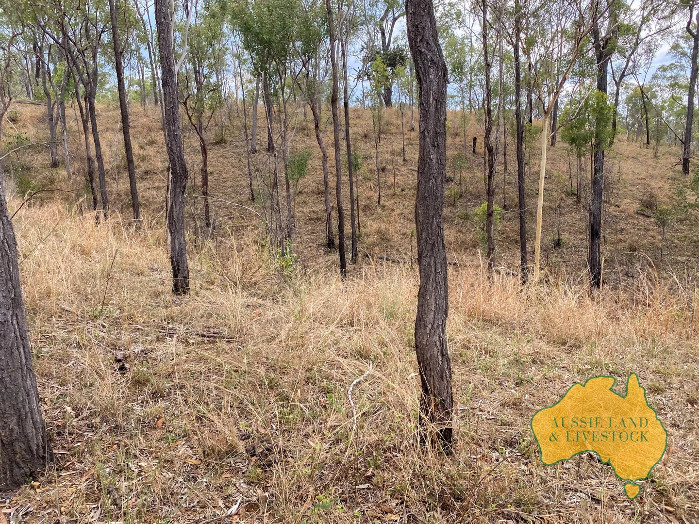 Additional image 23 of 95 Monto Mount Perry Road, Tellebang QLD 4630