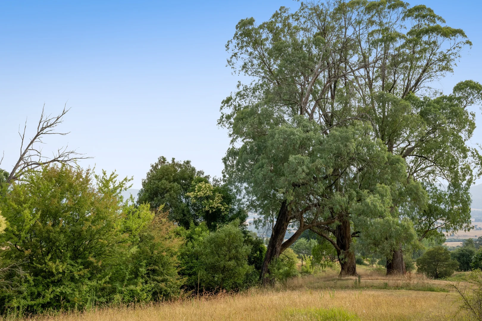 Additional image 9 of 3 Guy Court, Tawonga South VIC 3698