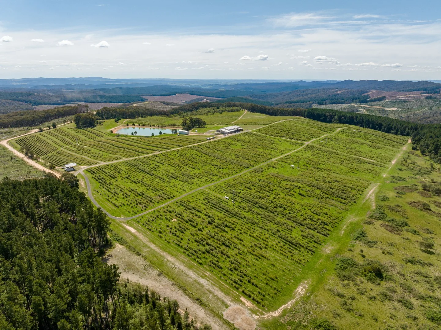 Additional image 5 of Courabyra NSW 2653