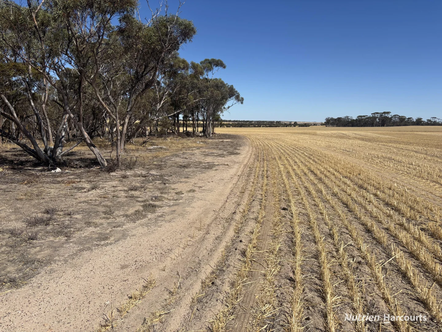 Additional image 3 of . 'Scotts', Yelbeni WA 6487
