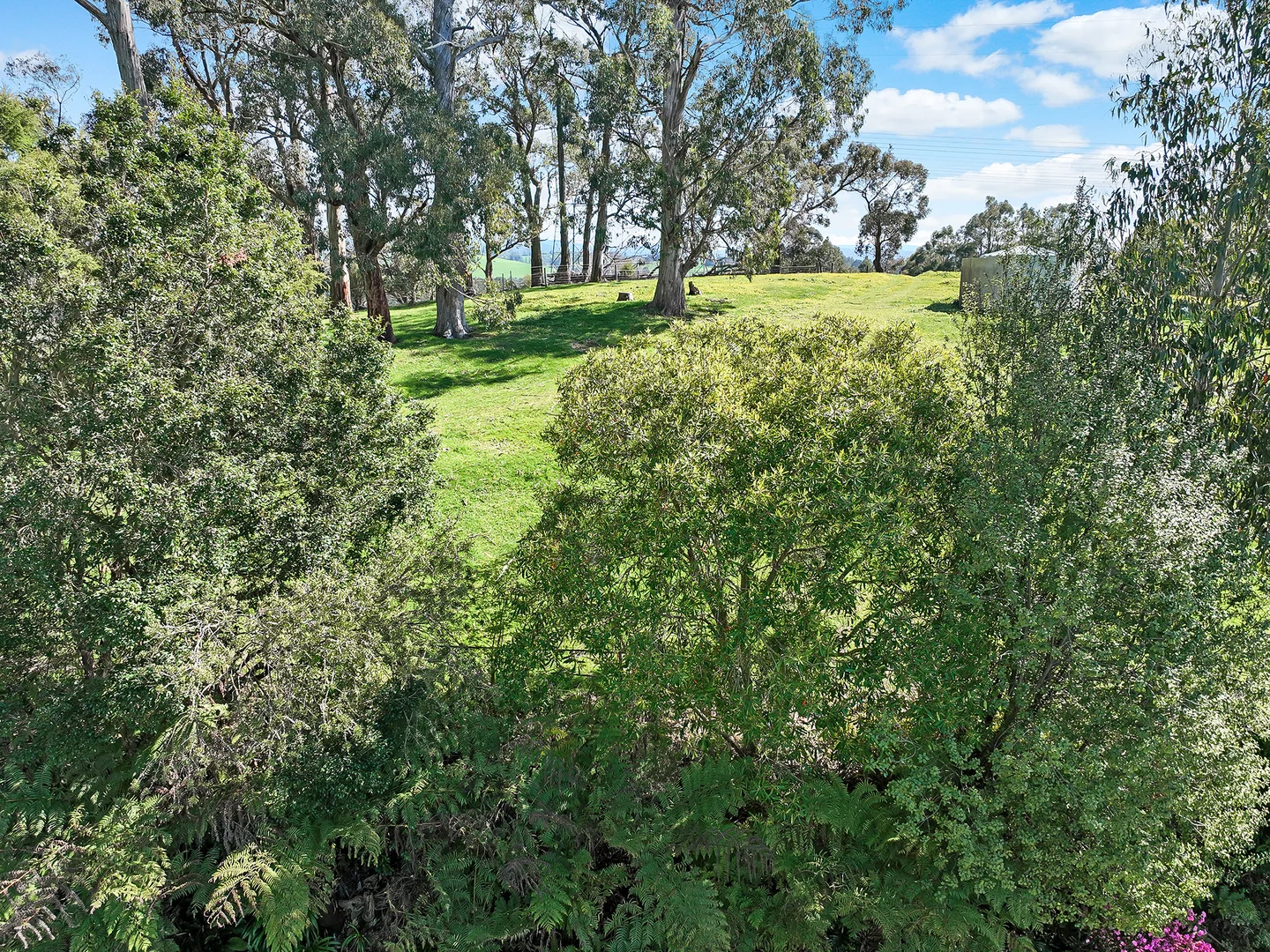 Additional image 30 of 80 Tymkin Road, Rokeby VIC 3821
