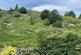 Additional image 13 of Coniston LA21