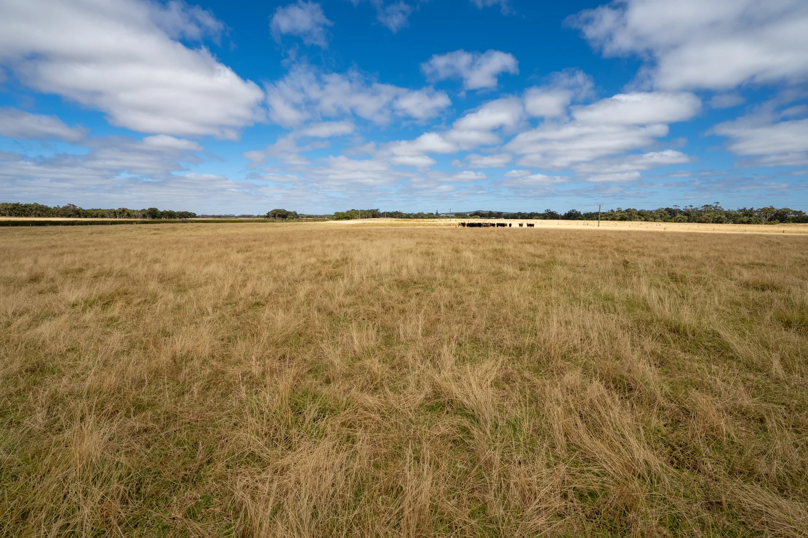 Additional image 21 of 3/43303 South Coast Highway, Manypeaks WA 6328