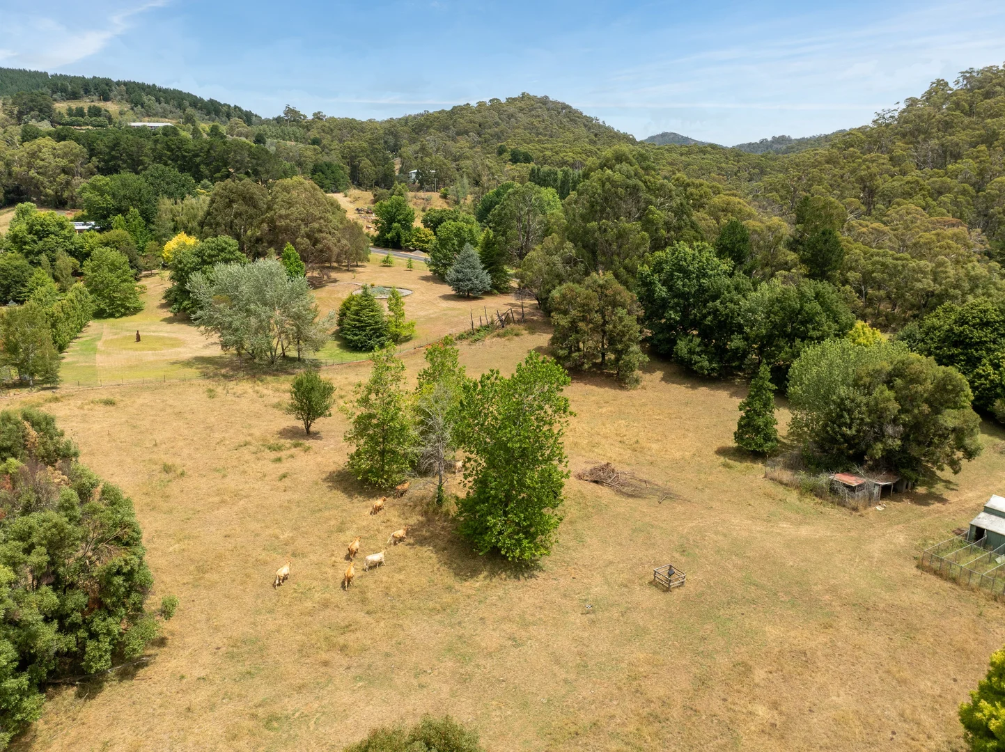 Additional image 5 of 999 Lake Canobolas Road, Orange NSW 2800