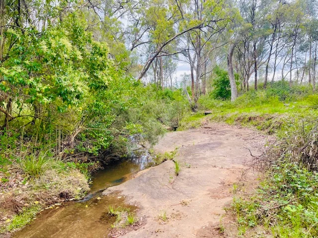 Additional image 22 of 40 Koala Crescent, Coonabarabran NSW 2357