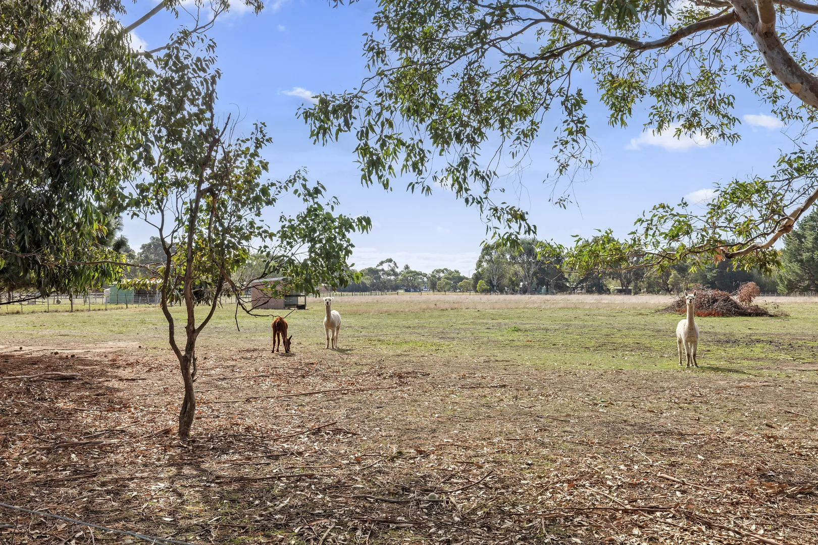 Additional image 20 of 281 Rhinds Road, Wallington VIC 3222