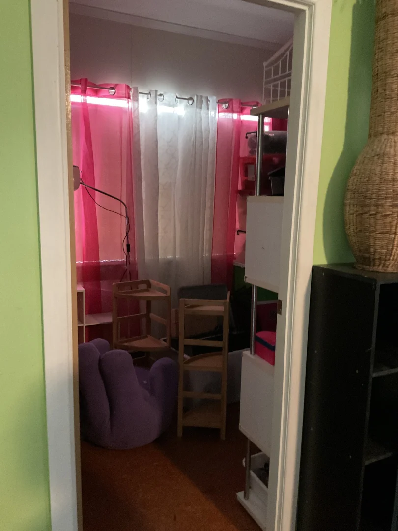 Additional image 8 of 2001 Tullagrie Road, Tara QLD 4421