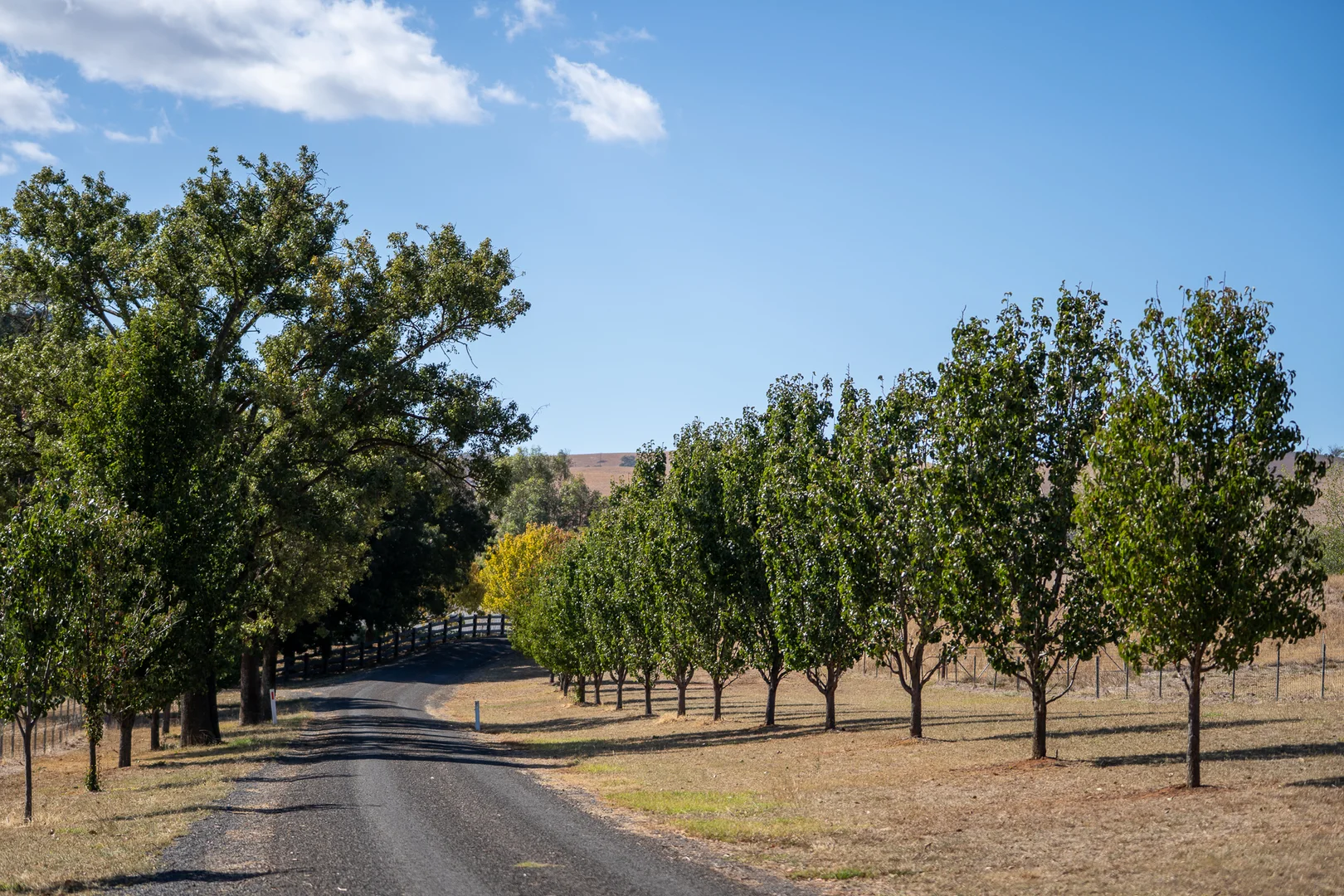 Additional image 12 of 1507 Pine Mount Road, Woodstock NSW 2793