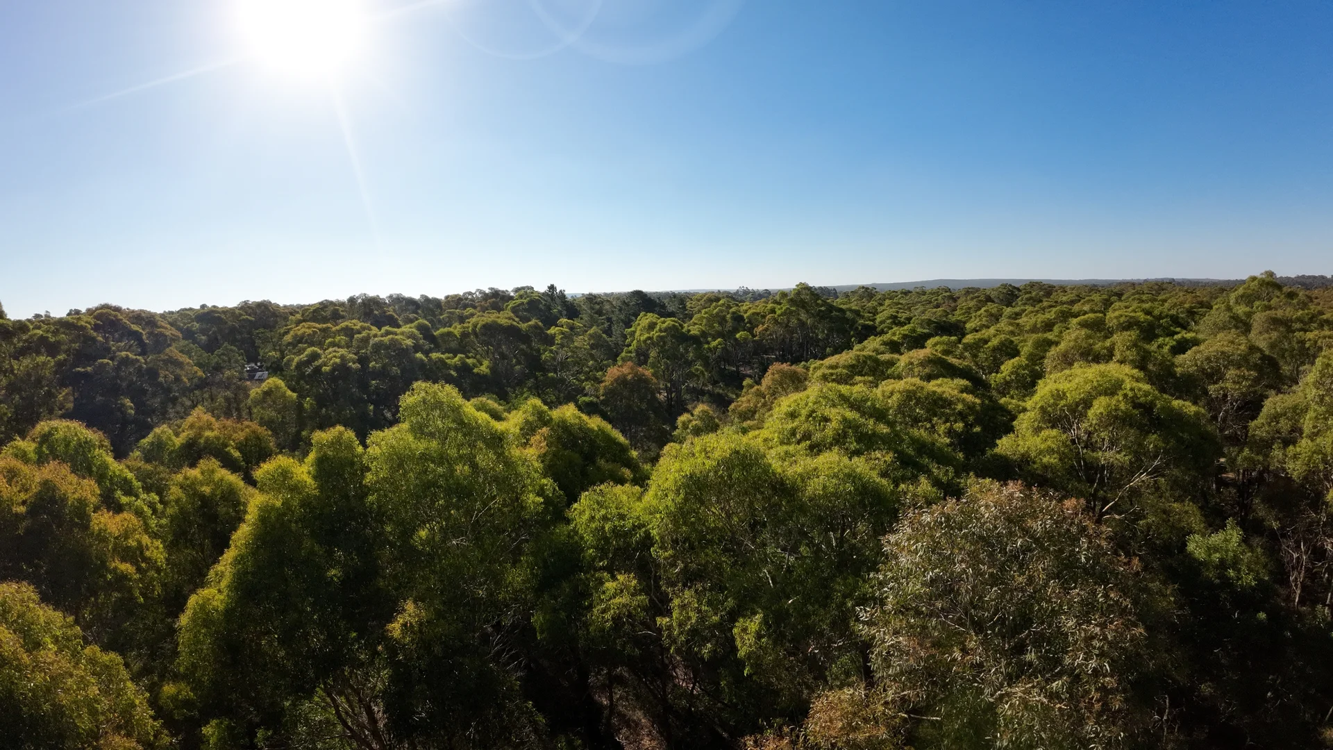 Additional image 4 of 15 & 15A Lemajics Road, Scarsdale VIC 3351