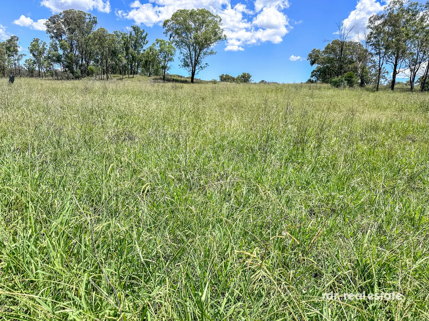 Additional image 19 of 213 Mclachlans Ln, Inverell NSW 2360