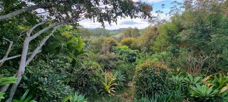 Additional image 8 of 53 Gurrinyah drive, Stokers Siding NSW 2484