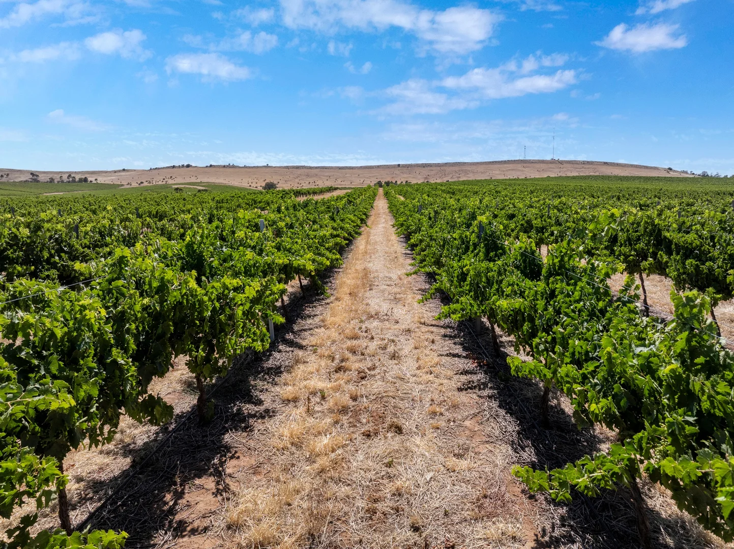 Additional image 35 of Lot 20 Spring Farm Road, Spring Farm SA 5453