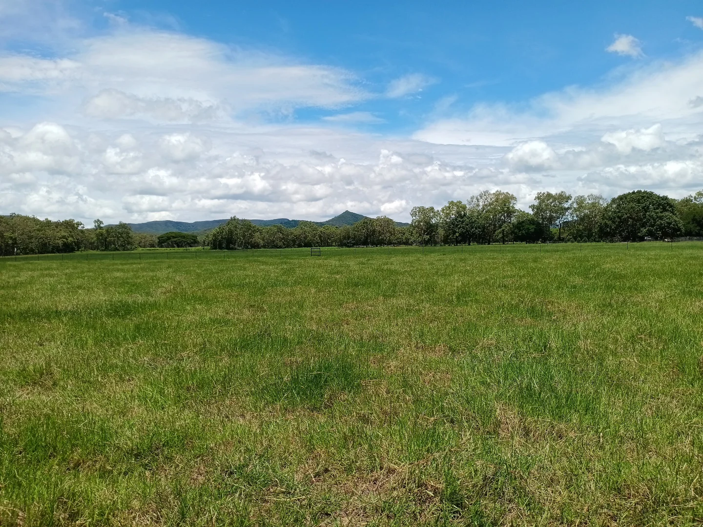 Additional image 5 of Lot 45 Jensens Crossing Rd, Cooktown QLD 4895