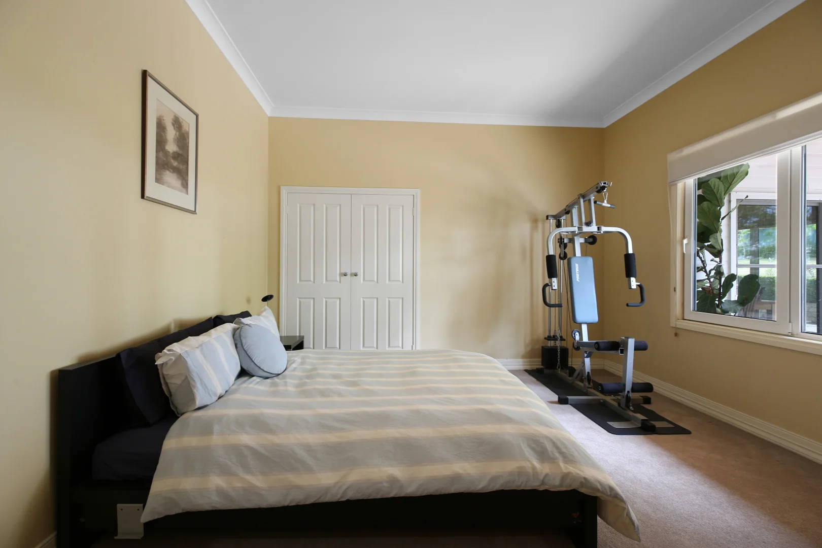 Additional image 15 of 145 Christies Road, Warragul VIC 3820