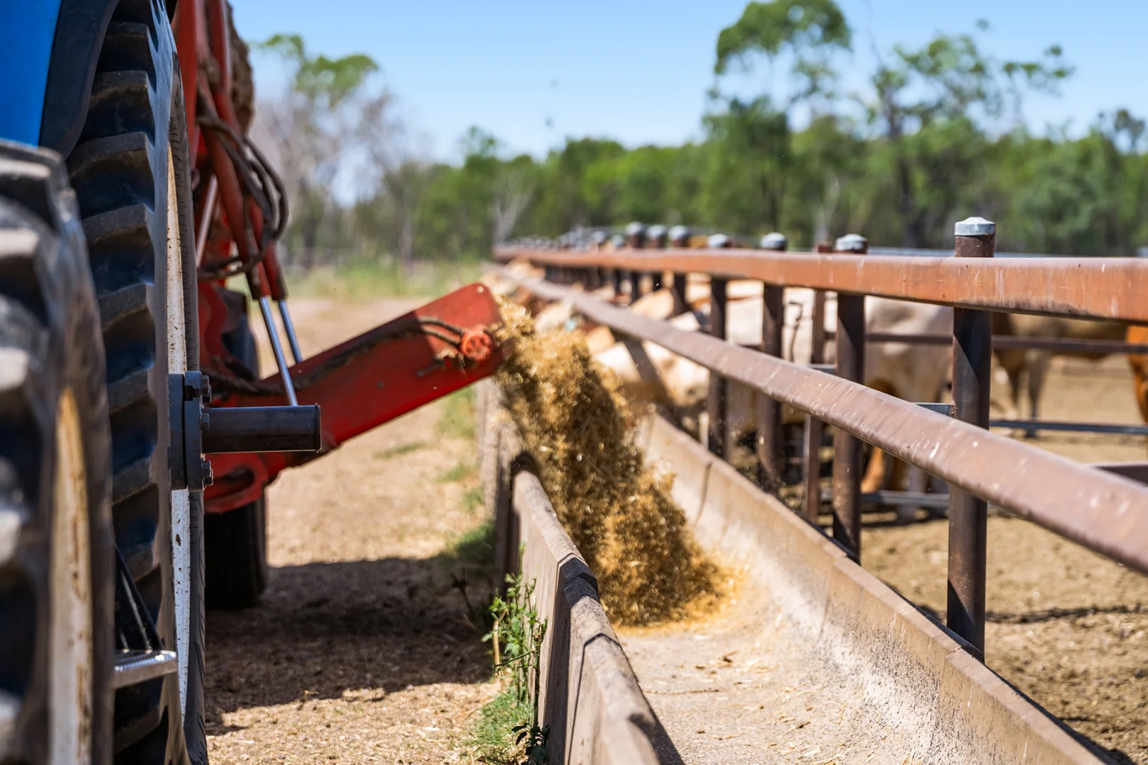 Additional image 11 of 'Ashby' 48 Felton View Road, Ellangowan QLD 4361