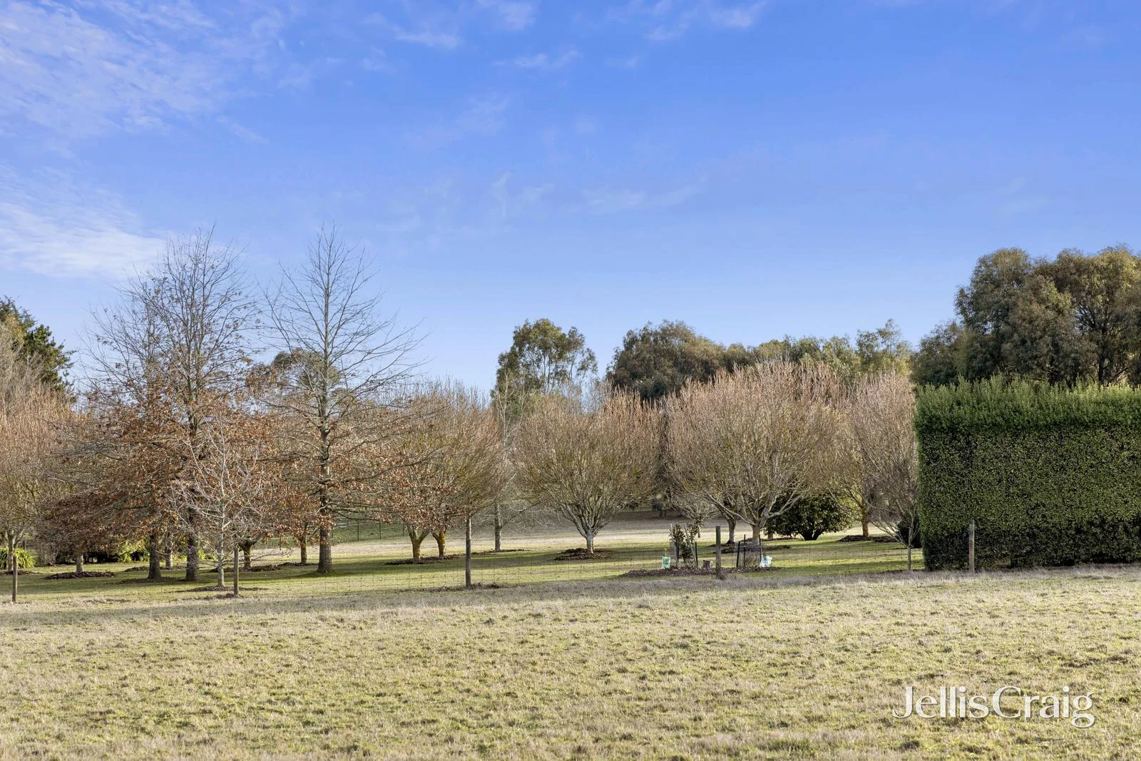 Additional image 5 of Lot 2, 46 Robertson Drive, Newham VIC 3442