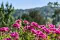 Additional image 32 of 120 E Manor Dr, Mill Valley, CA, 94941