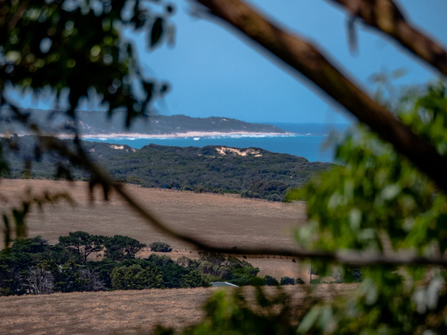 Additional image 25 of 182 Kilcunda Ridge Road, Woolamai VIC 3995