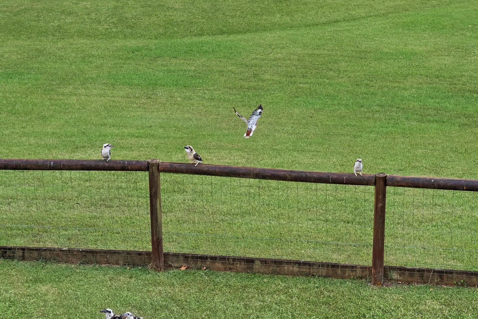 Additional image 29 of 17 Timberview Drive, Wongawallan QLD 4210