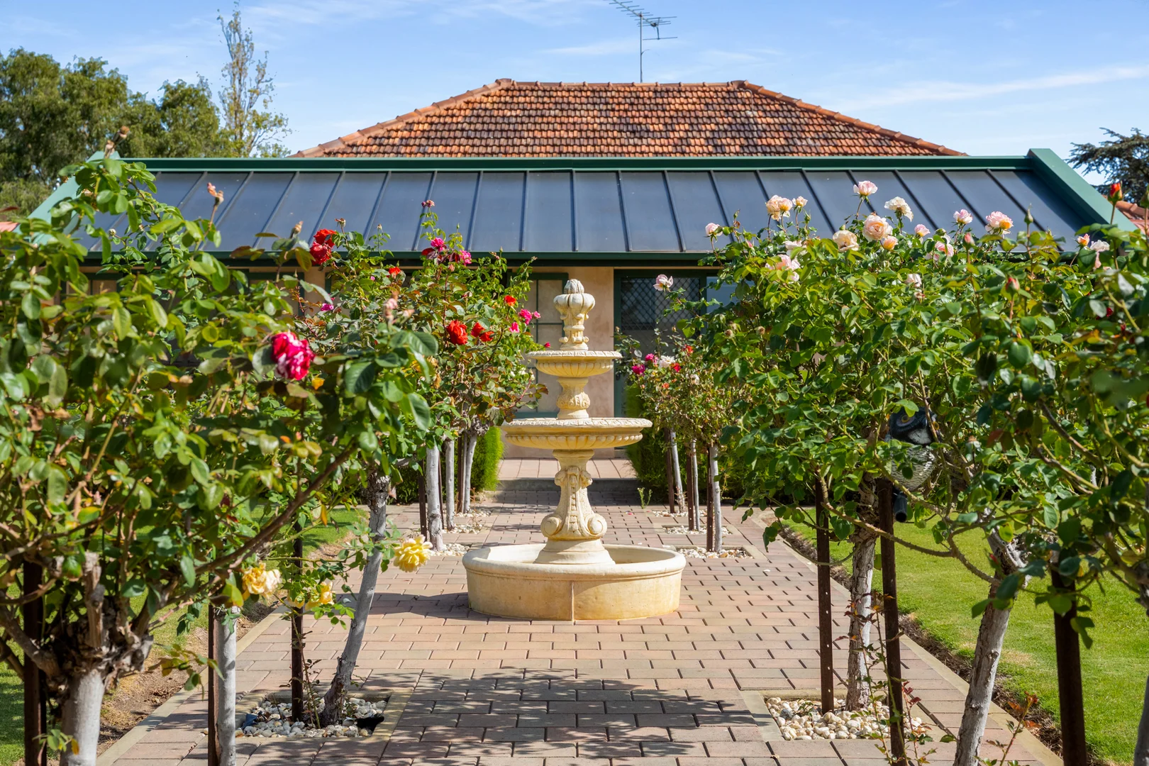 Additional image 7 of 14687 Riddoch Hwy, Coonawarra SA 5263