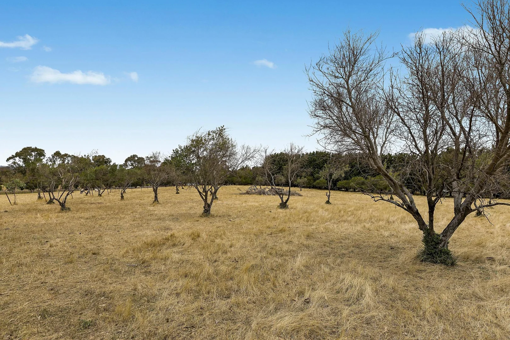 Additional image 26 of 2 Grevillea Close, Murrumbateman NSW 2582