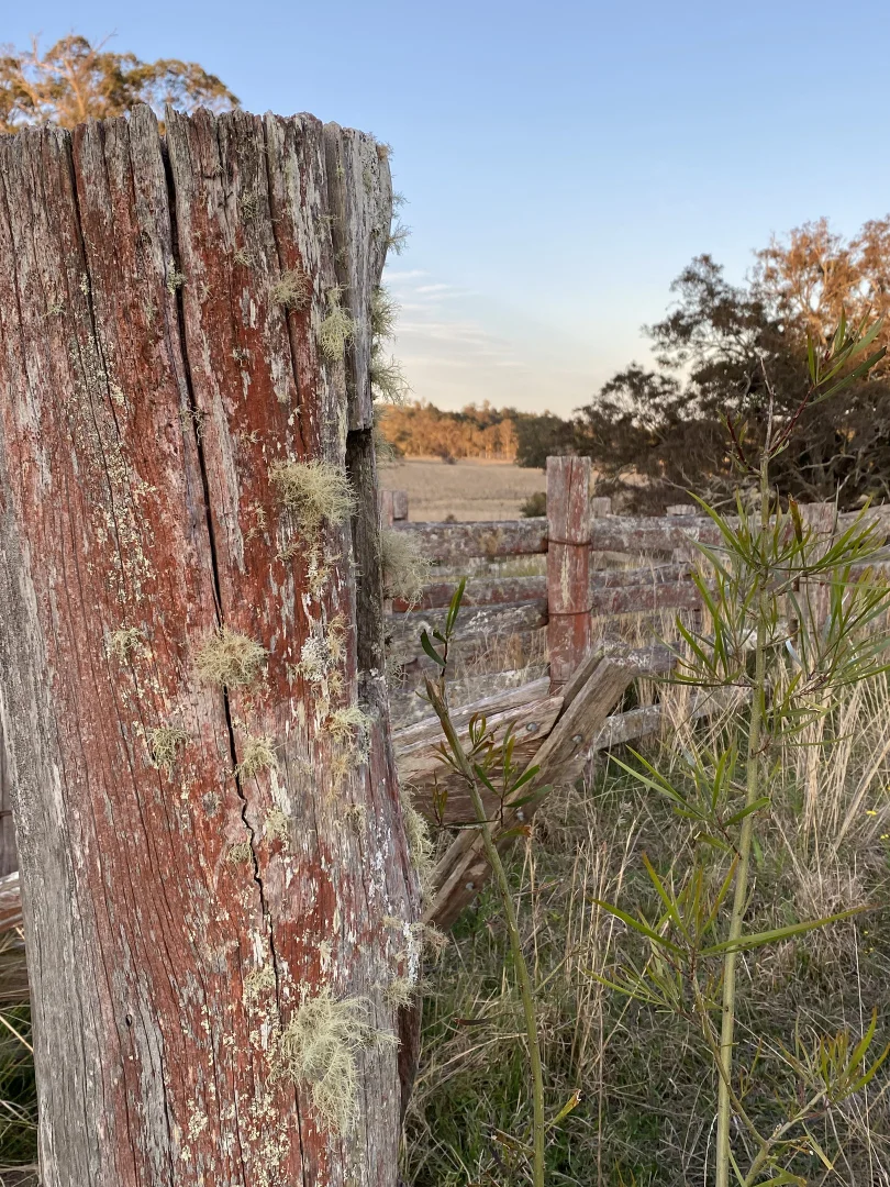 Additional image 11 of 212A Norries Road, Bunyah NSW 2429