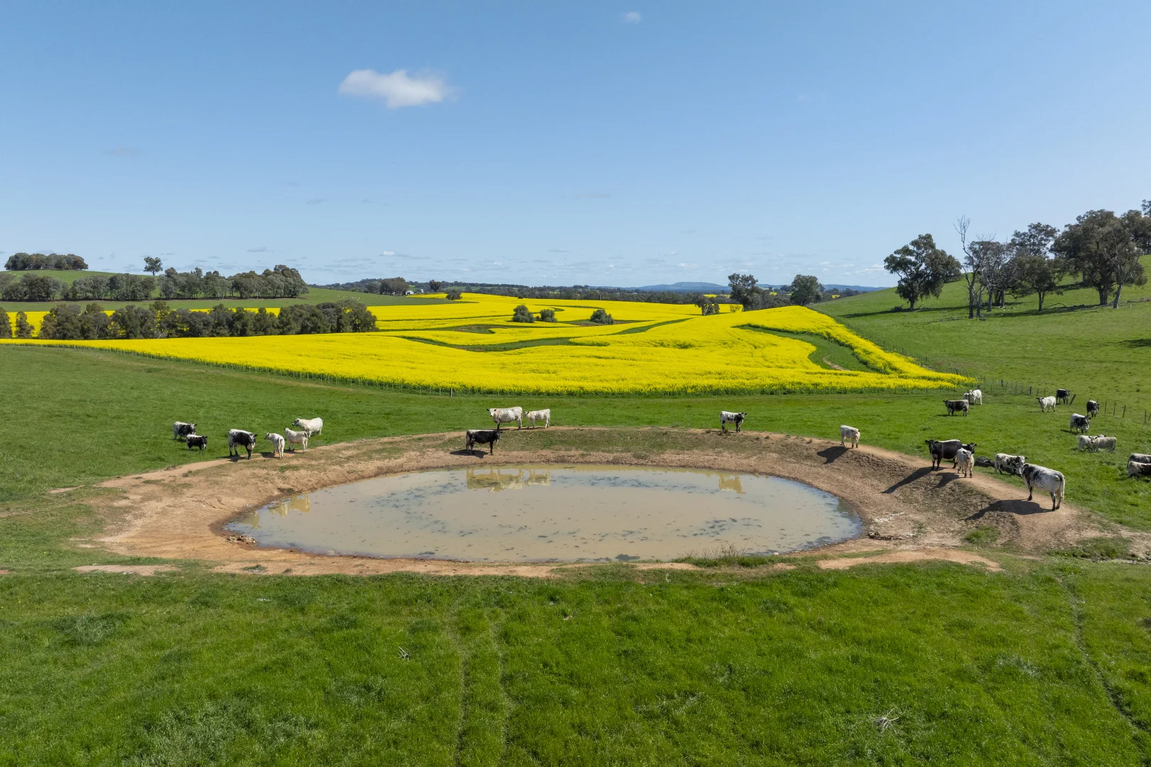 Additional image 37 of 2056 Benalla-Yarrawona Road, Bungeet West VIC 3726