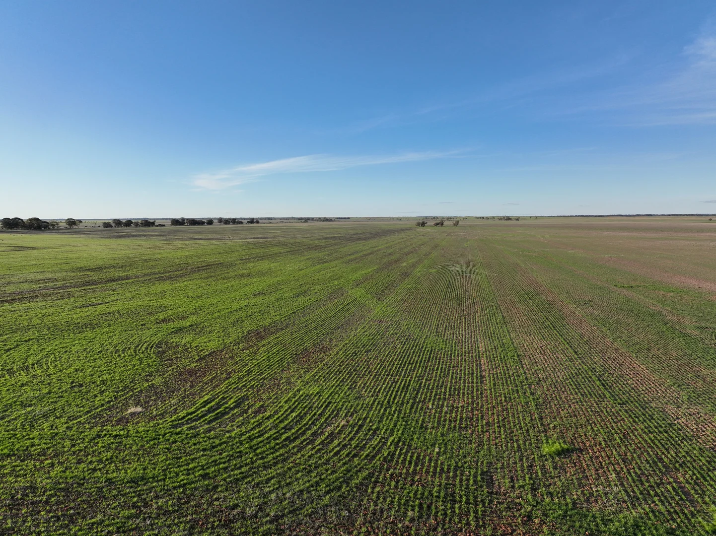 Additional image 16 of 0 Borung Highway, Jeffcott North VIC 3480