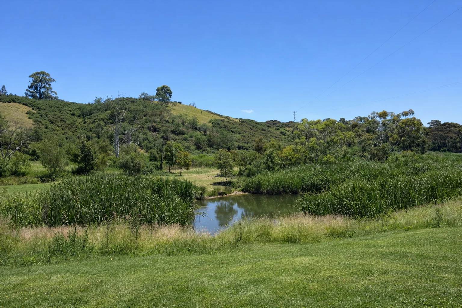 Additional image 3 of 590 Ogradys Road, Wandong VIC 3758