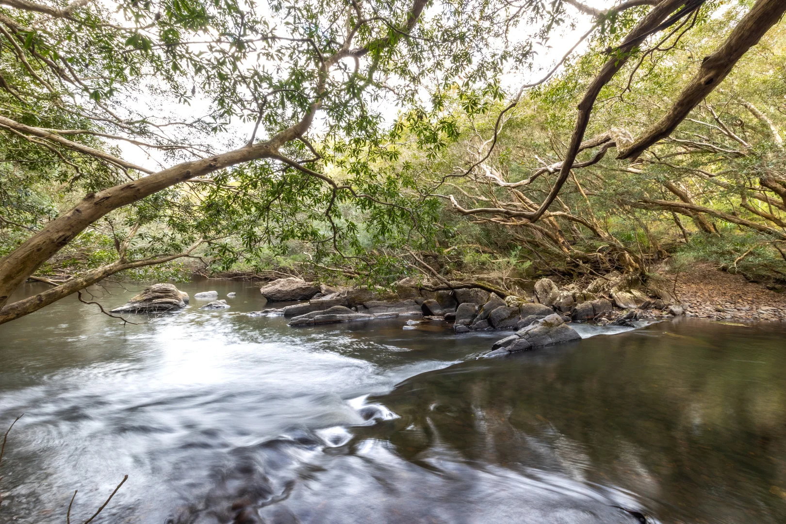 Additional image 20 of 56 Carisbrook Road, Morton NSW 2538