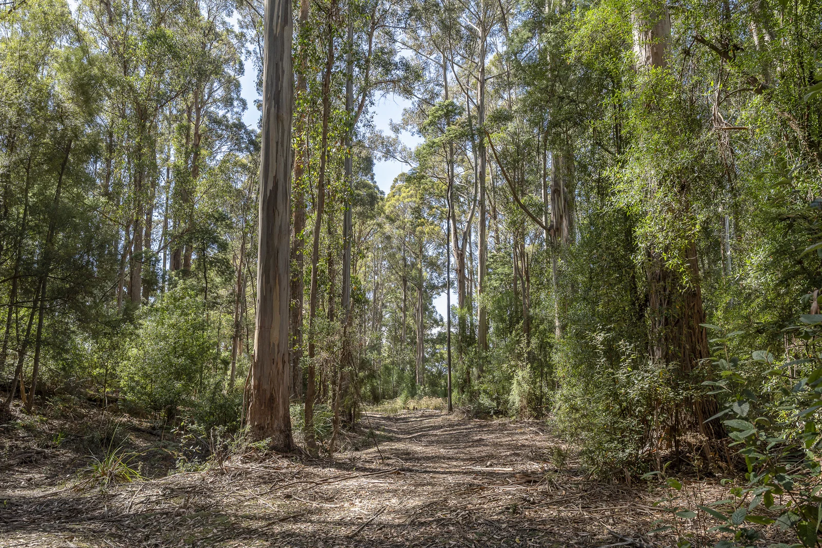 Additional image 10 of 1 Millers Road, Middleton TAS 7163