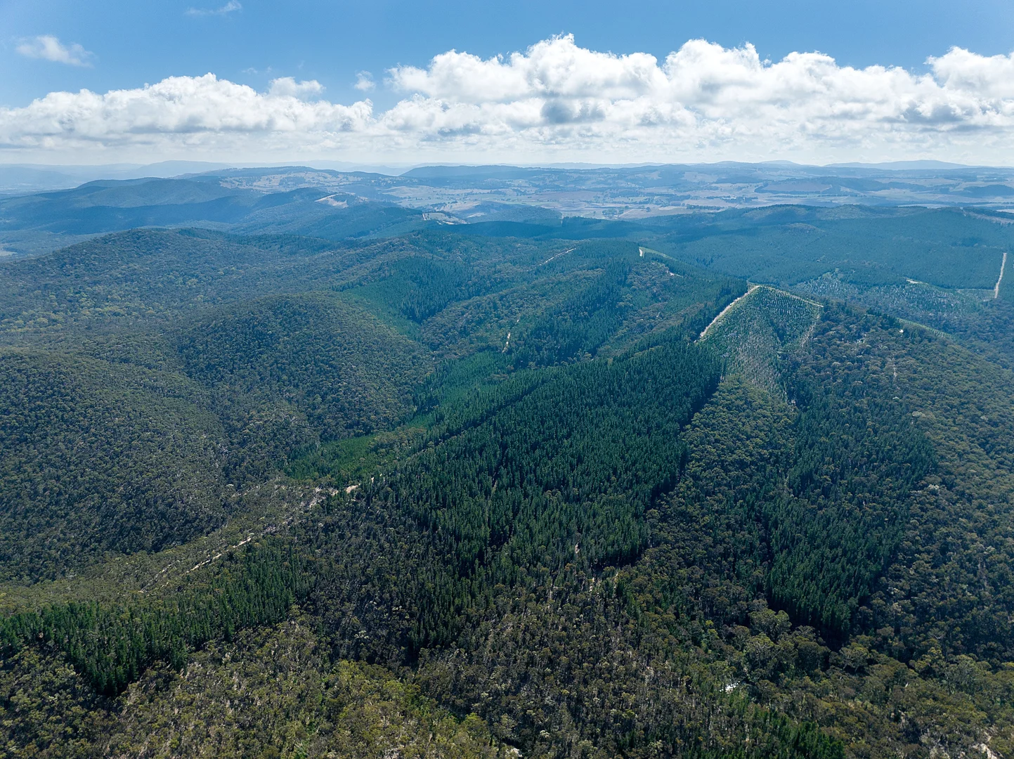 Additional image 6 of 771 Greywacke Road, Twenty Forests NSW 2795